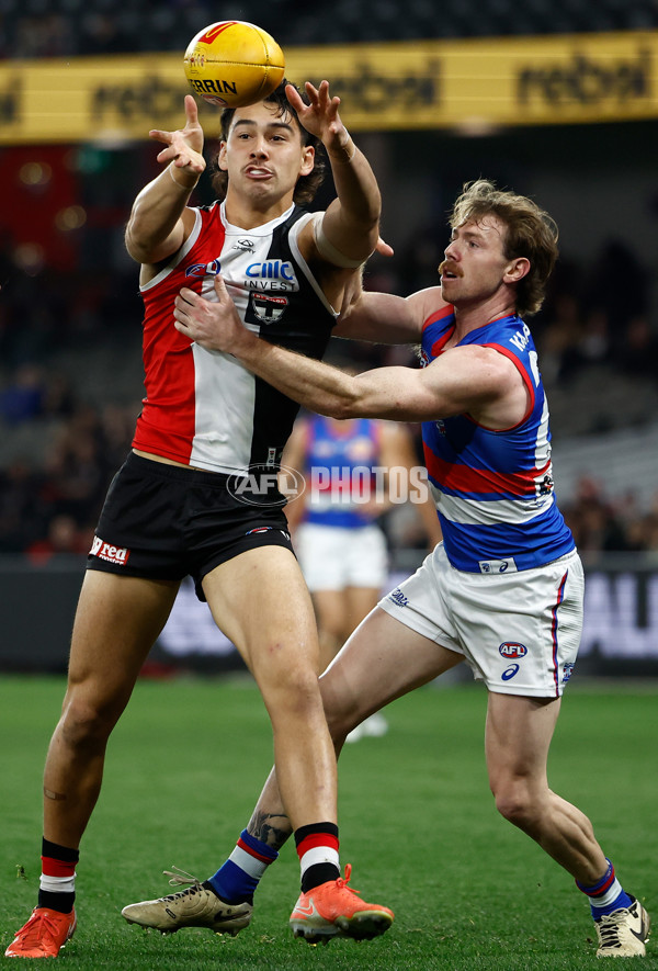 AFL 2025 Round 14 - St Kilda v Western Bulldogs - A-60000416