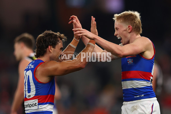AFL 2025 Round 14 - St Kilda v Western Bulldogs - A-60000452