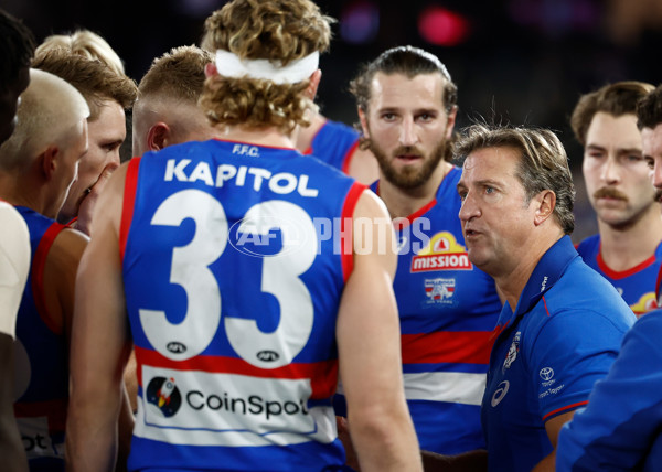 AFL 2025 Round 14 - St Kilda v Western Bulldogs - A-60000694