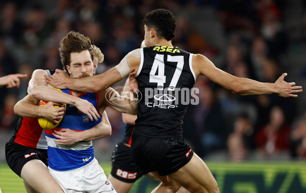 AFL 2025 Round 14 - St Kilda v Western Bulldogs - A-60000695