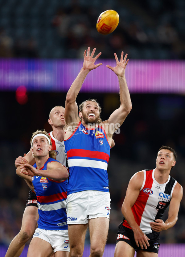 AFL 2025 Round 14 - St Kilda v Western Bulldogs - A-60000697