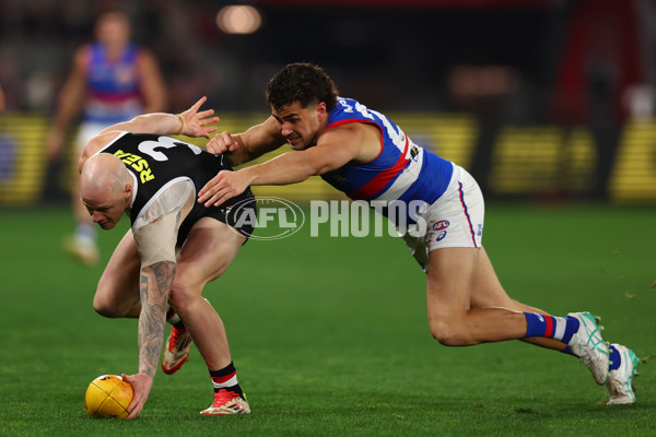 AFL 2025 Round 14 - St Kilda v Western Bulldogs - A-60000720