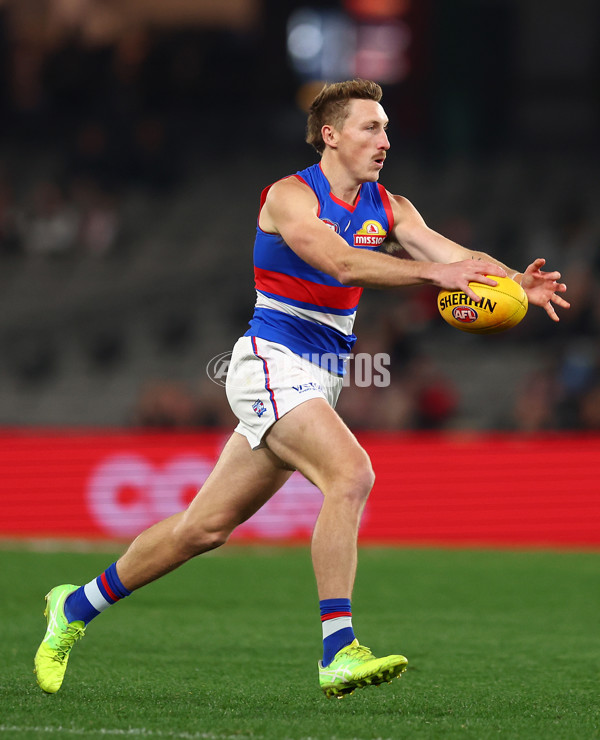 AFL 2025 Round 14 - St Kilda v Western Bulldogs - A-60000725