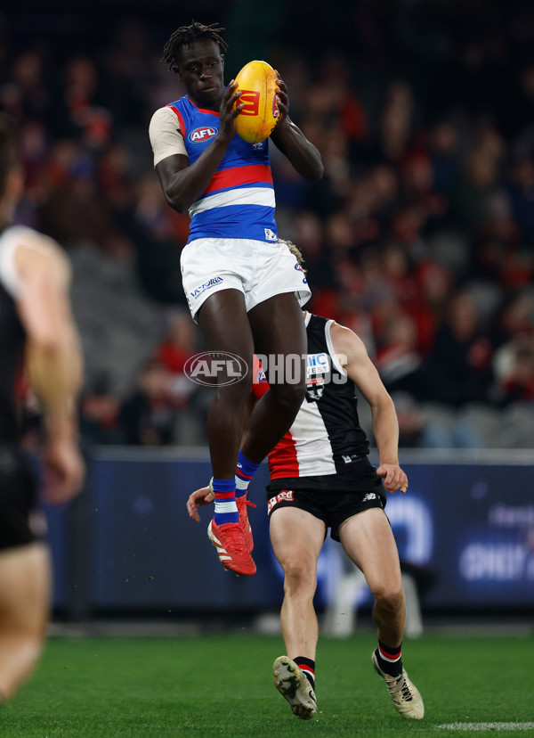 AFL 2025 Round 14 - St Kilda v Western Bulldogs - A-60000733