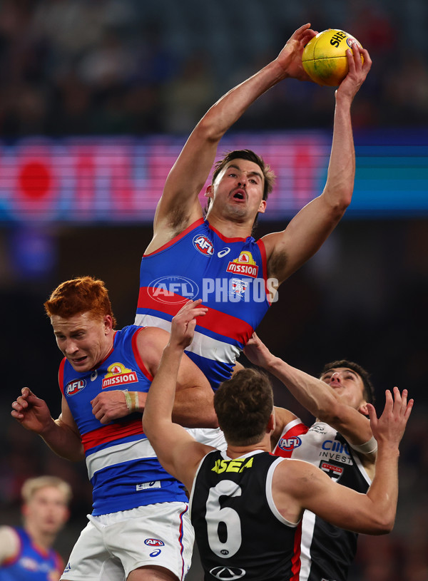 AFL 2025 Round 14 - St Kilda v Western Bulldogs - A-60000736