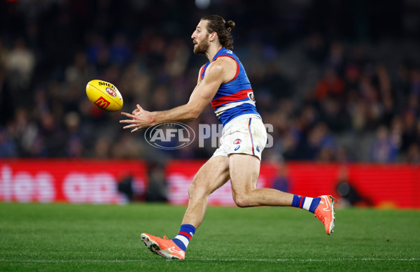AFL 2025 Round 14 - St Kilda v Western Bulldogs - A-60000758