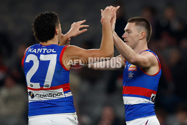 AFL 2025 Round 14 - St Kilda v Western Bulldogs - A-60000765