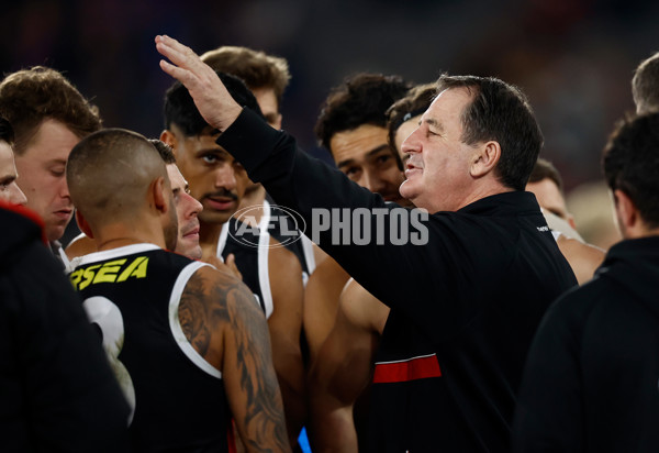 AFL 2025 Round 14 - St Kilda v Western Bulldogs - A-60002891