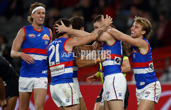 AFL 2025 Round 14 - St Kilda v Western Bulldogs - A-60002897