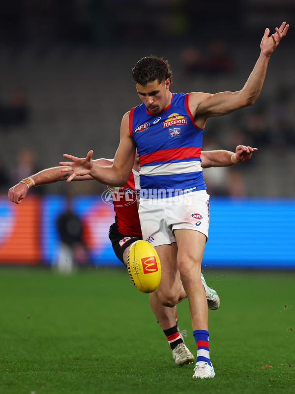 AFL 2025 Round 14 - St Kilda v Western Bulldogs - A-60002914