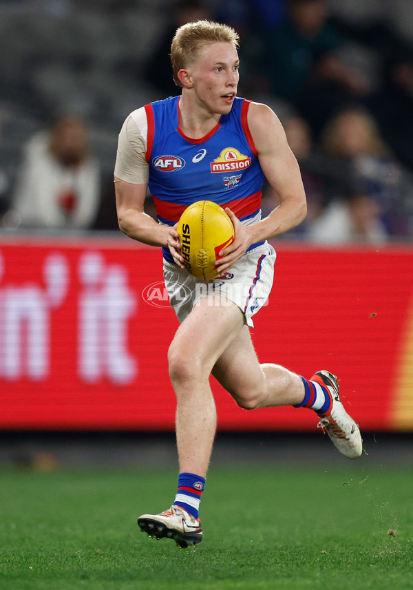 AFL 2025 Round 14 - St Kilda v Western Bulldogs - A-60002952