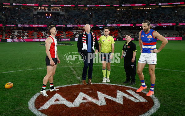 AFL 2025 Round 14 - St Kilda v Western Bulldogs - A-60002977