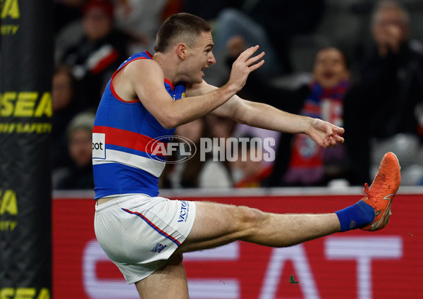 AFL 2025 Round 14 - St Kilda v Western Bulldogs - A-60003195