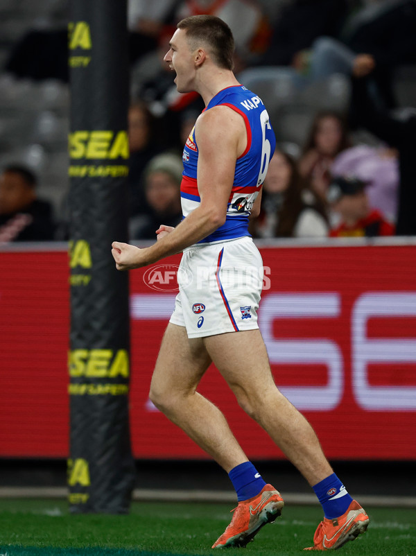 AFL 2025 Round 14 - St Kilda v Western Bulldogs - A-60003198