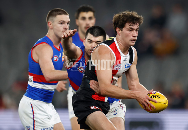 AFL 2025 Round 14 - St Kilda v Western Bulldogs - A-60003263