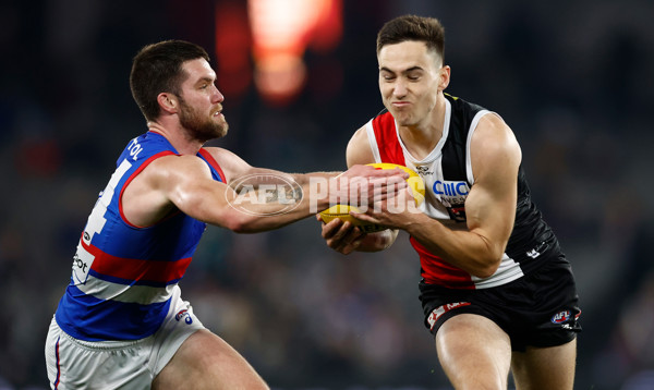 AFL 2025 Round 14 - St Kilda v Western Bulldogs - A-60003267