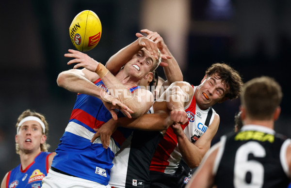 AFL 2025 Round 14 - St Kilda v Western Bulldogs - A-60003274