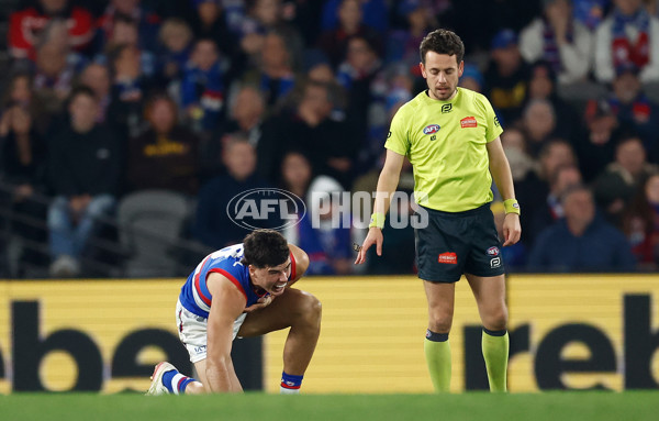 AFL 2025 Round 14 - St Kilda v Western Bulldogs - A-60003275