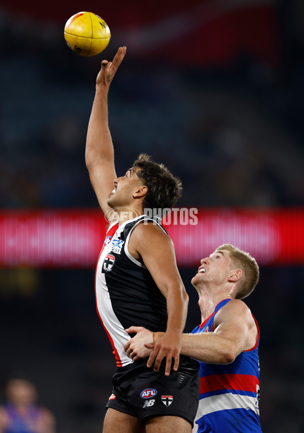 AFL 2025 Round 14 - St Kilda v Western Bulldogs - A-60006121
