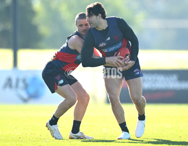 AFL 2025 Training - Melbourne 130625 - A-60006166