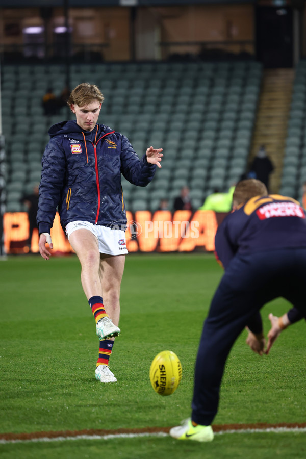 AFL 2025 Round 14 - Hawthorn v Adelaide - A-60006189