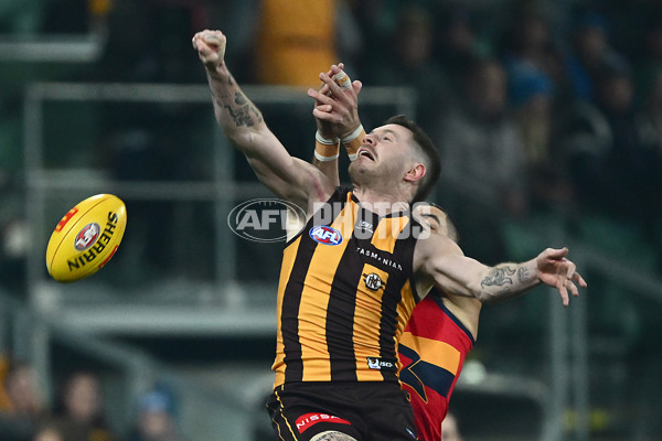 AFL 2025 Round 14 - Hawthorn v Adelaide - A-60006219