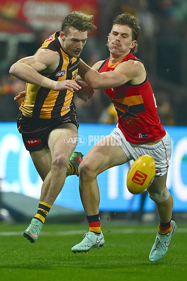 AFL 2025 Round 14 - Hawthorn v Adelaide - A-60007093