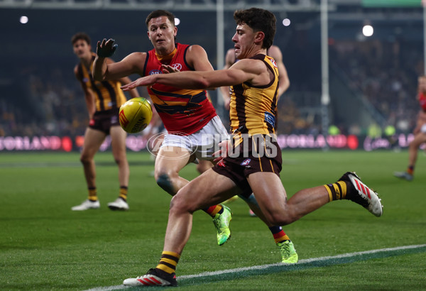 AFL 2025 Round 14 - Hawthorn v Adelaide - A-60007111