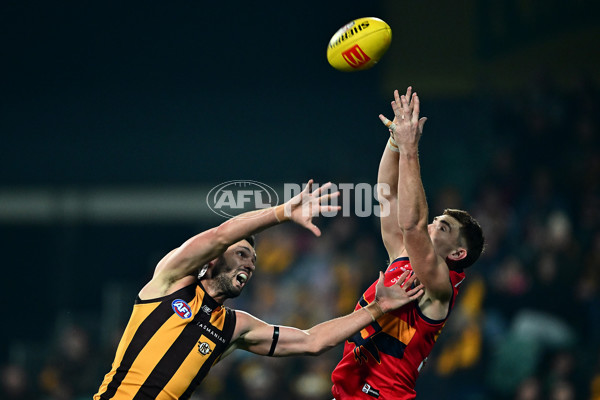 AFL 2025 Round 14 - Hawthorn v Adelaide - A-60007113