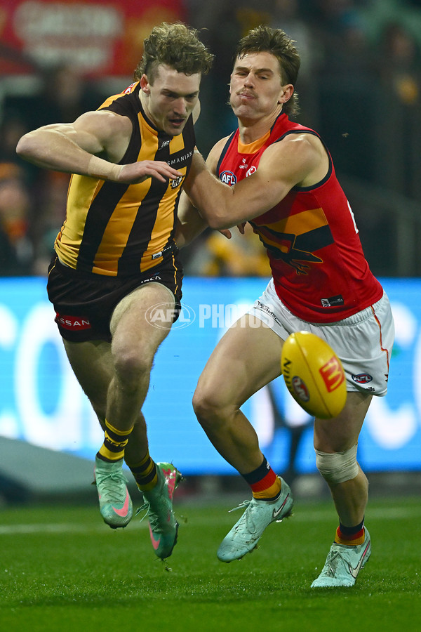 AFL 2025 Round 14 - Hawthorn v Adelaide - A-60007115