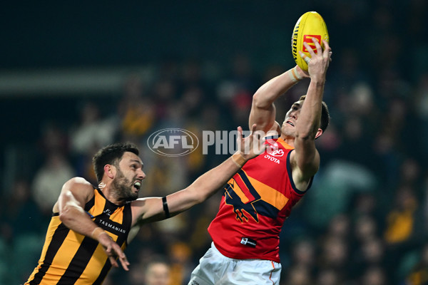 AFL 2025 Round 14 - Hawthorn v Adelaide - A-60008564