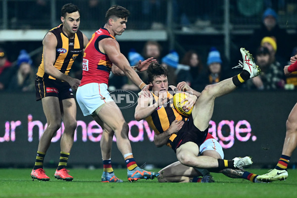 AFL 2025 Round 14 - Hawthorn v Adelaide - A-60008574
