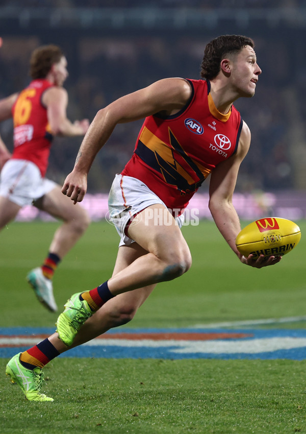 AFL 2025 Round 14 - Hawthorn v Adelaide - A-60008592