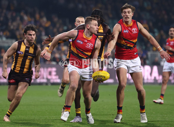 AFL 2025 Round 14 - Hawthorn v Adelaide - A-60008593