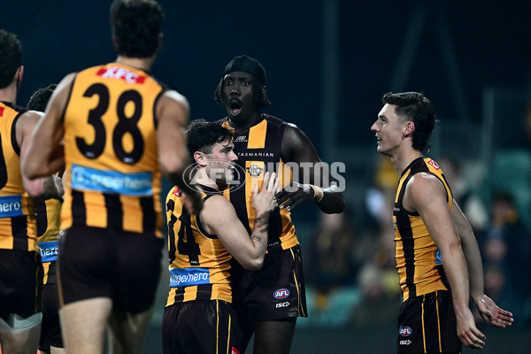 AFL 2025 Round 14 - Hawthorn v Adelaide - A-60008638