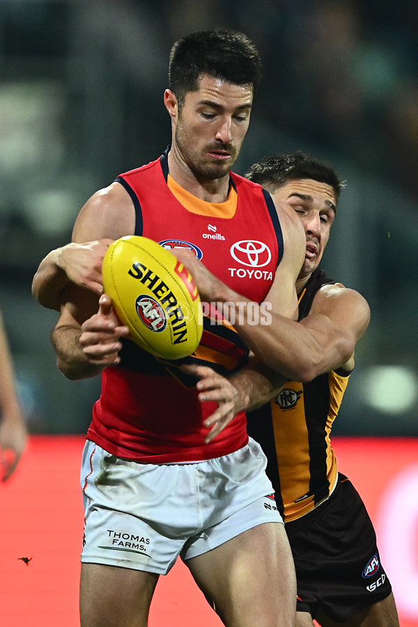 AFL 2025 Round 14 - Hawthorn v Adelaide - A-60009886