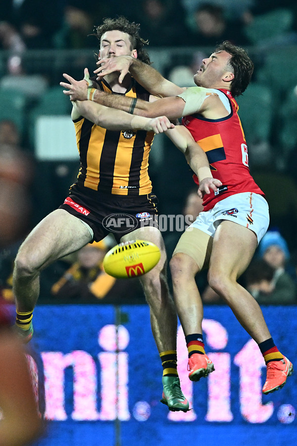 AFL 2025 Round 14 - Hawthorn v Adelaide - A-60009893