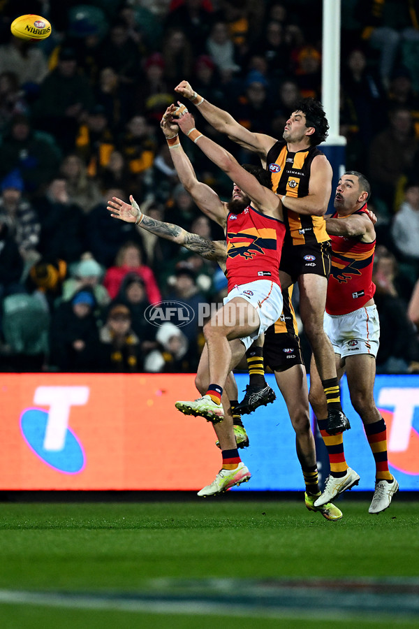 AFL 2025 Round 14 - Hawthorn v Adelaide - A-60009932