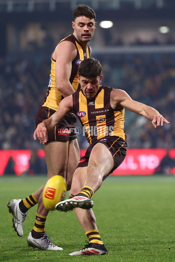 AFL 2025 Round 14 - Hawthorn v Adelaide - A-60009947