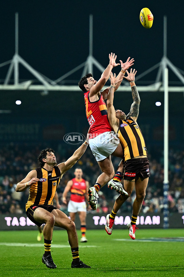 AFL 2025 Round 14 - Hawthorn v Adelaide - A-60009949