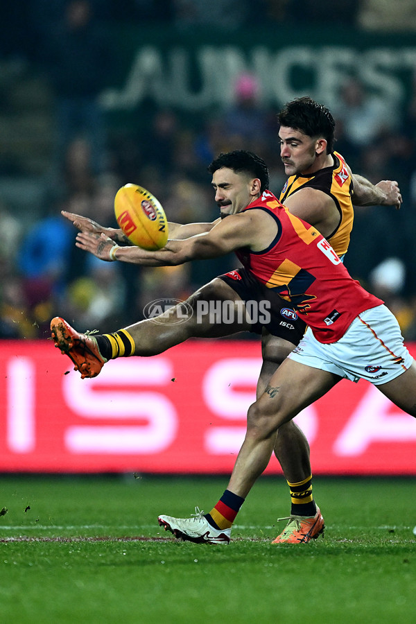 AFL 2025 Round 14 - Hawthorn v Adelaide - A-60011776