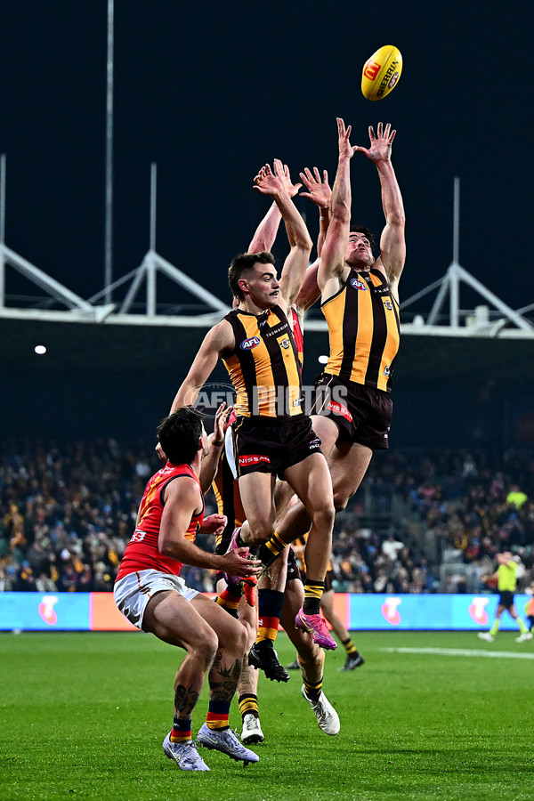 AFL 2025 Round 14 - Hawthorn v Adelaide - A-60011780