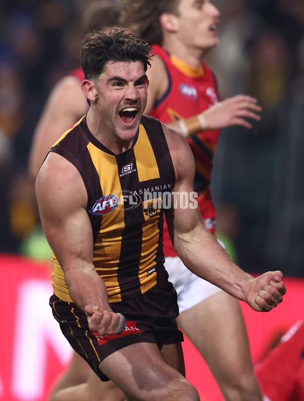 AFL 2025 Round 14 - Hawthorn v Adelaide - A-60011809