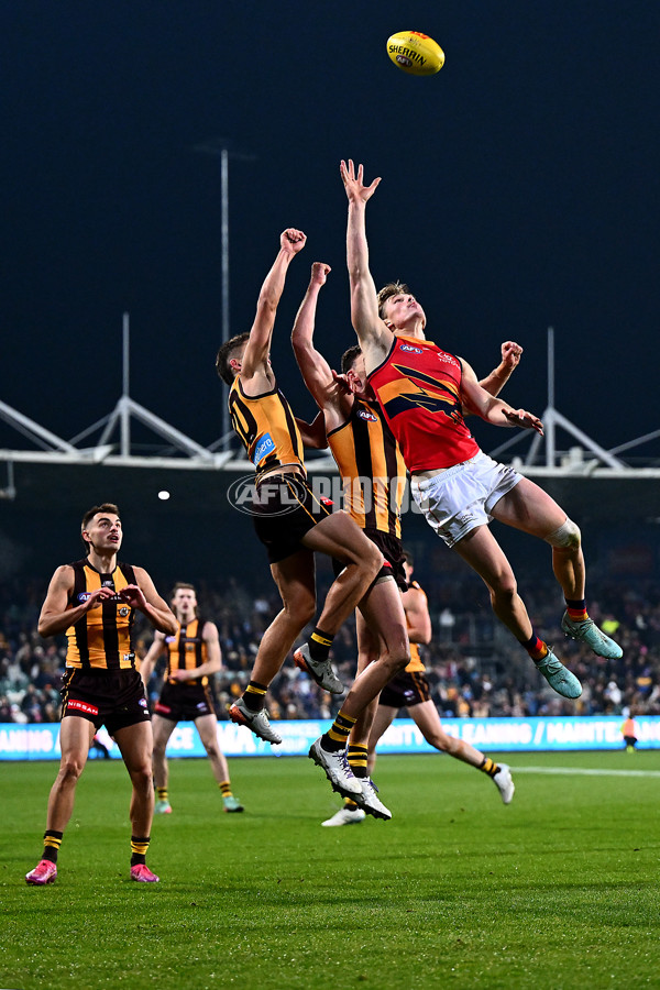 AFL 2025 Round 14 - Hawthorn v Adelaide - A-60011811