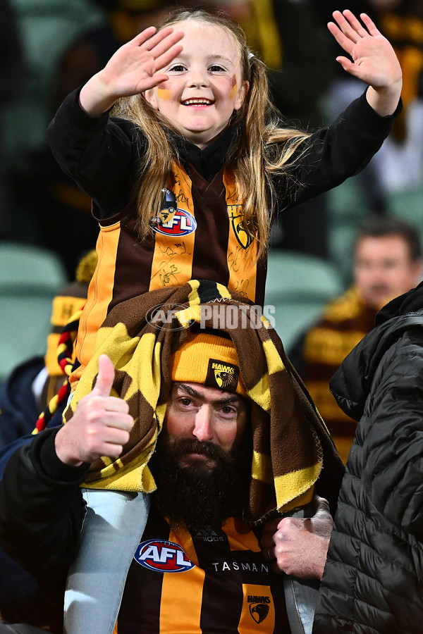 AFL 2025 Round 14 - Hawthorn v Adelaide - A-60011815