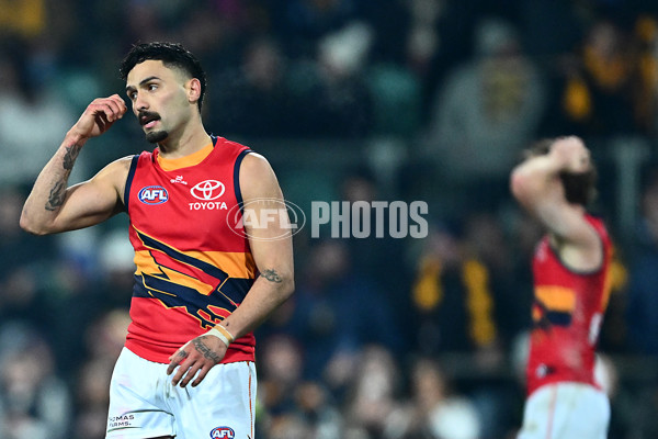 AFL 2025 Round 14 - Hawthorn v Adelaide - A-60011821