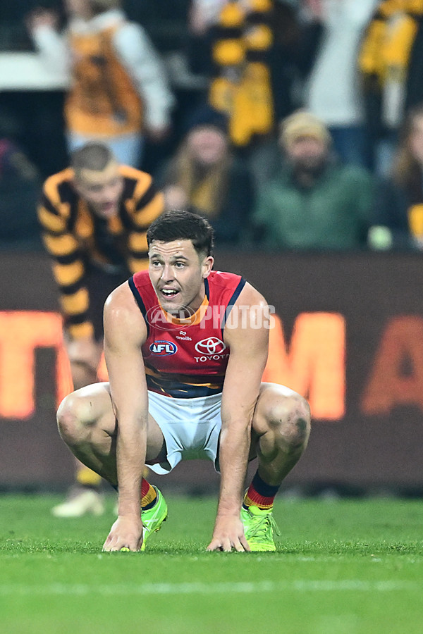 AFL 2025 Round 14 - Hawthorn v Adelaide - A-60011848