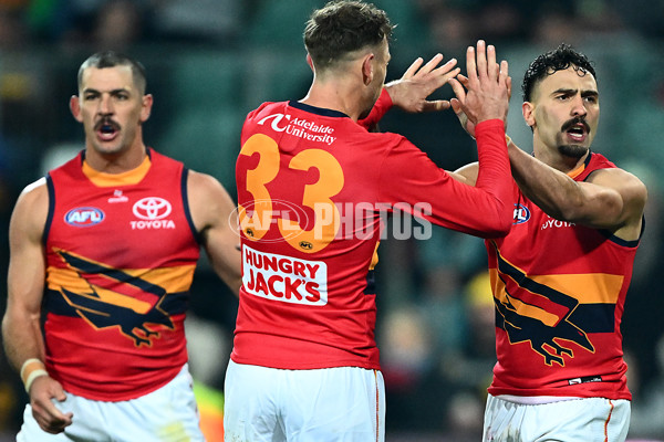 AFL 2025 Round 14 - Hawthorn v Adelaide - A-60011859