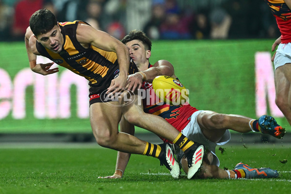 AFL 2025 Round 14 - Hawthorn v Adelaide - A-60011863