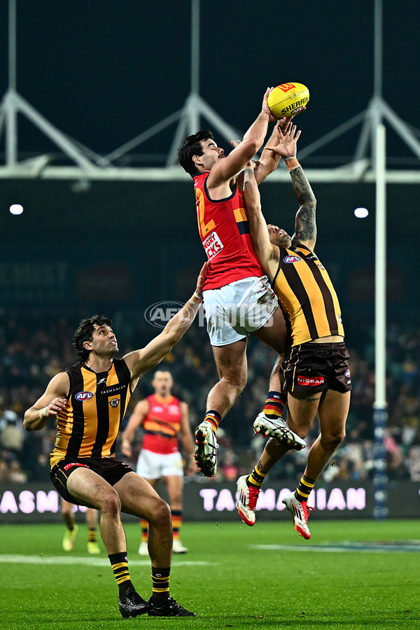AFL 2025 Round 14 - Hawthorn v Adelaide - A-60011871